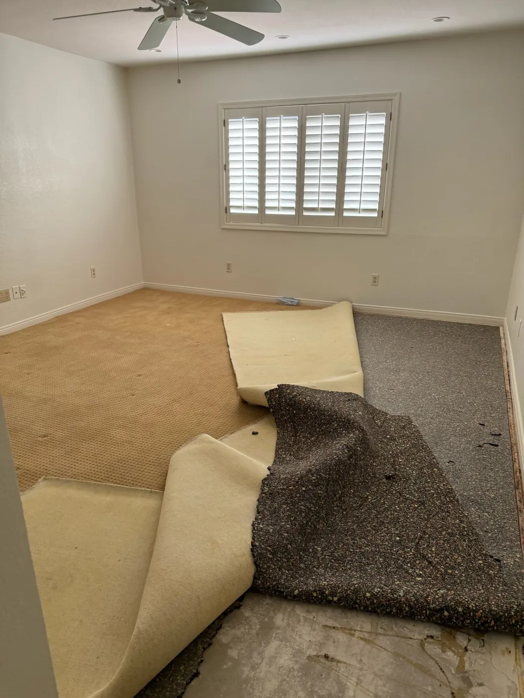 Carpet lifted and pulled back during demolition