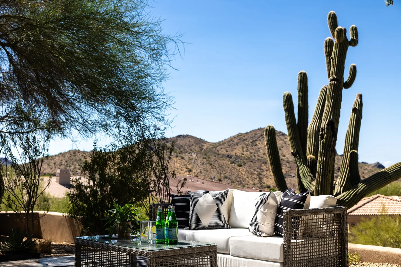 Outdoor seating under a desert tree, with saguaros and the mountain behind
